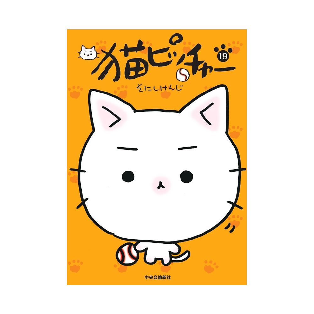 猫ピッチャー19