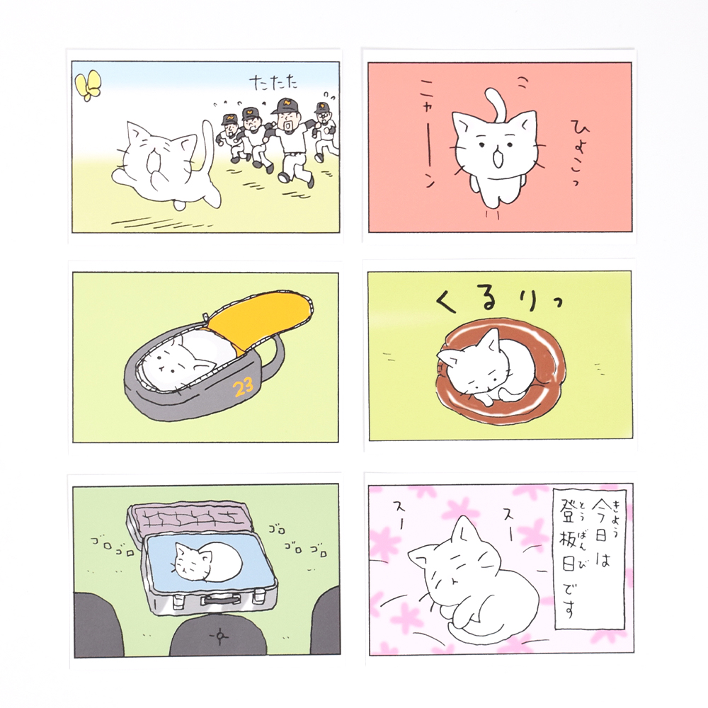 猫ピッチャー　ポストカードセット1