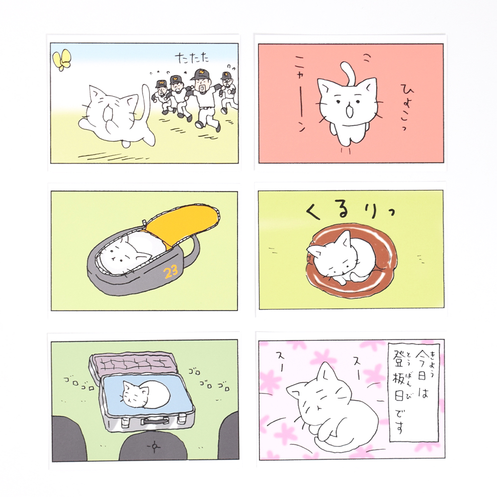 猫ピッチャー 1、2セット - その他