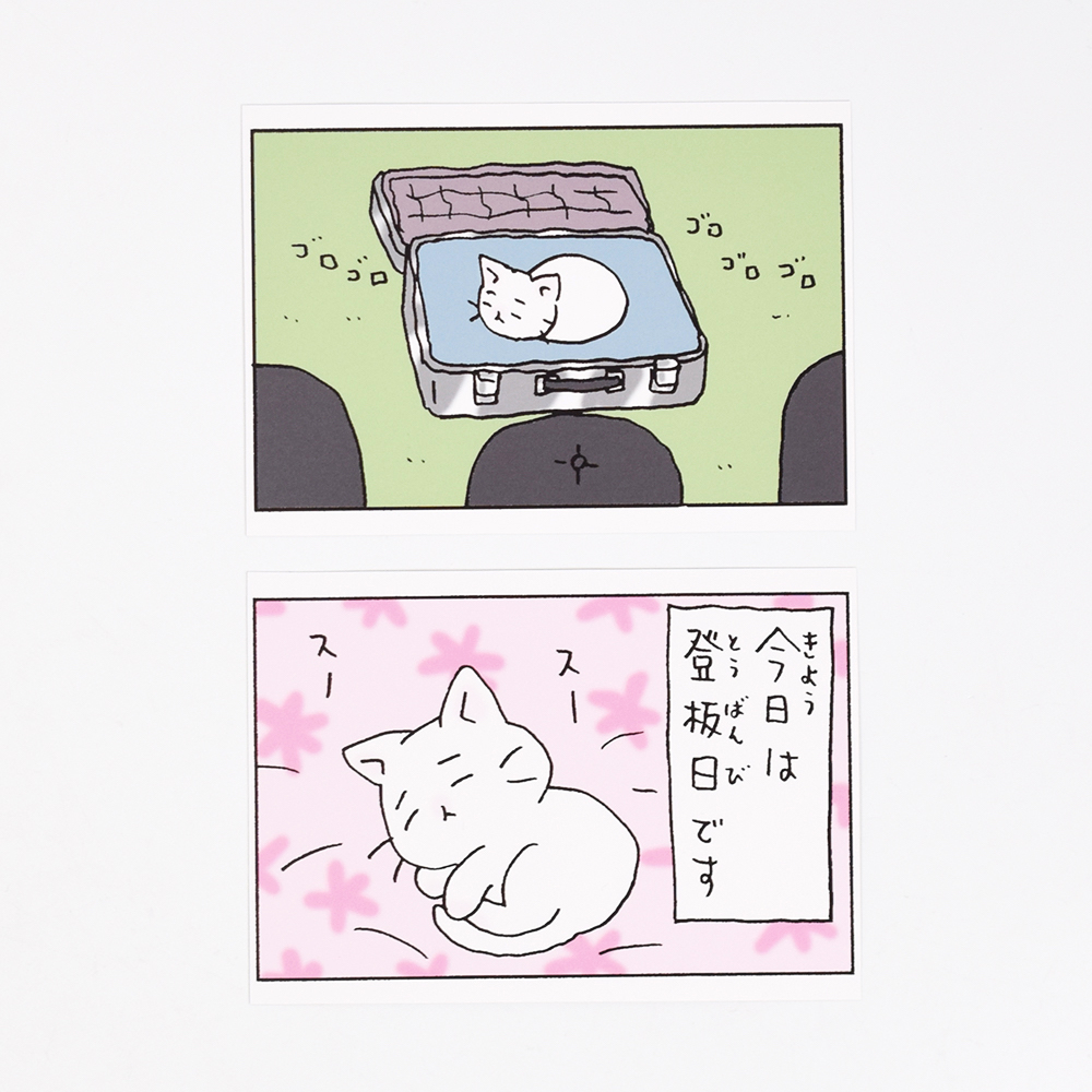 猫ピッチャー　ポストカードセット1